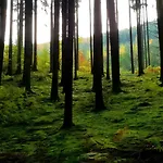 ファームステイ Ferienparadies Maierbauernhof *