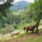 Ferienparadies Maierbauernhof * バート・ペーターシュタル・グリースバッハ