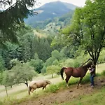 Ferienparadies Maierbauernhof ファームステイ バート・ペーターシュタル・グリースバッハ