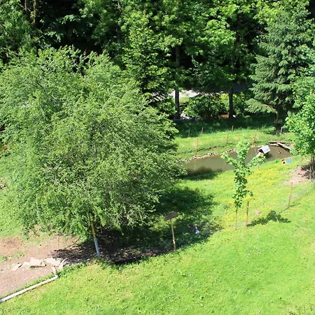 Çiftlik konaklama Ferienparadies Maierbauernhof Bad Peterstal-Griesbach