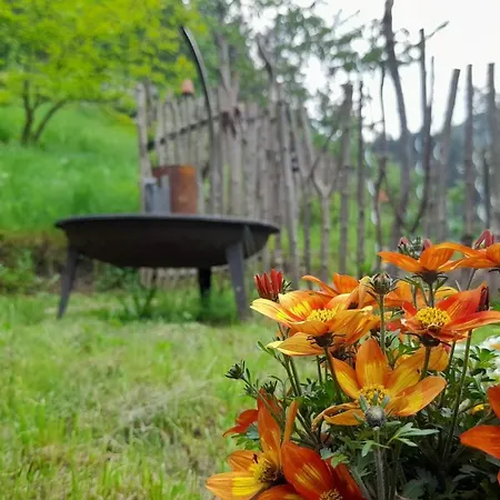 Ferienparadies Maierbauernhof Çiftlik konaklama Bad Peterstal-Griesbach