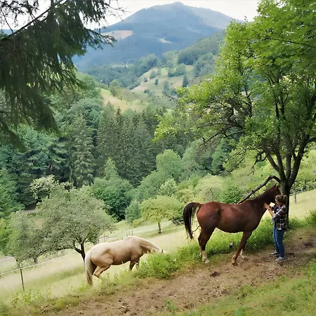 Ferienparadies Maierbauernhof * Bad Peterstal-Griesbach