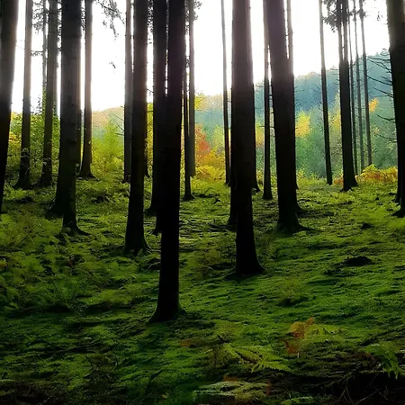 Çiftlik konaklama Ferienparadies Maierbauernhof *