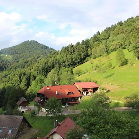 Çiftlik konaklama Ferienparadies Maierbauernhof Bad Peterstal-Griesbach