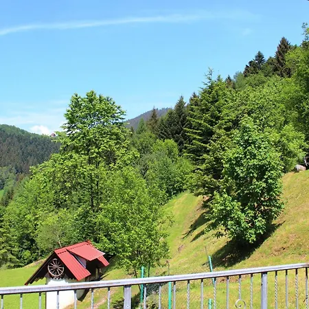 Farm stay Ferienparadies Maierbauernhof Bad Peterstal-Griesbach
