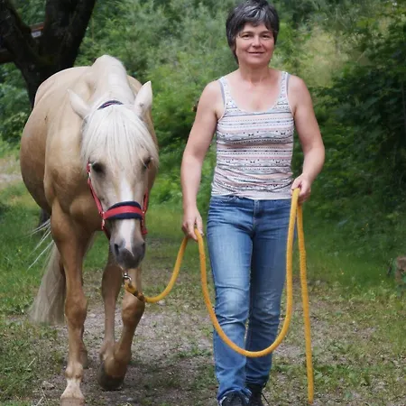 Ferienparadies Maierbauernhof Çiftlik konaklama Bad Peterstal-Griesbach