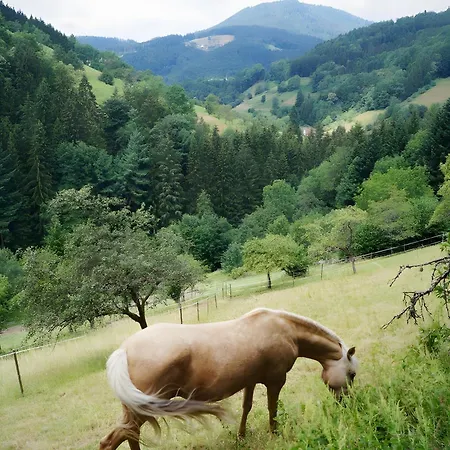 Çiftlik konaklama Ferienparadies Maierbauernhof Bad Peterstal-Griesbach