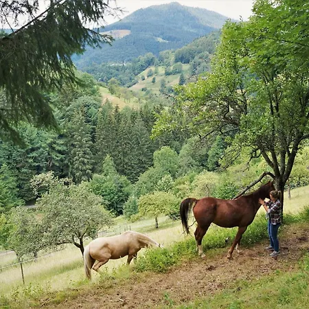 Ferienparadies Maierbauernhof Lantgård Bad Peterstal-Griesbach