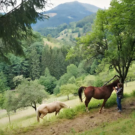 Ferienparadies Maierbauernhof Lantgård Bad Peterstal-Griesbach