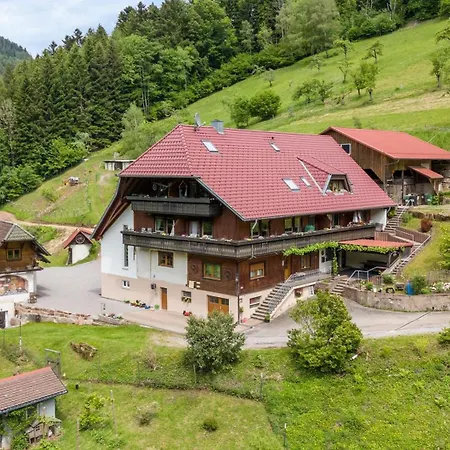 Ferienparadies Maierbauernhof Bad Peterstal-Griesbach