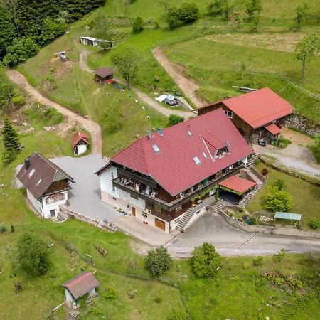 Ferienparadies Maierbauernhof Alojamento de Turismo Rural Bad Peterstal-Griesbach