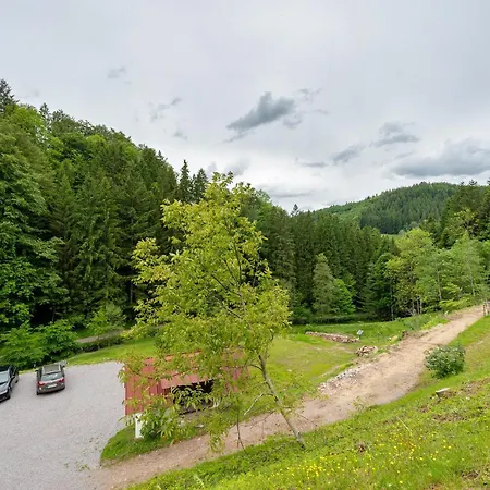 Ferienparadies Maierbauernhof Bad Peterstal-Griesbach