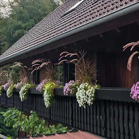 Ferienparadies Maierbauernhof Agroturismo